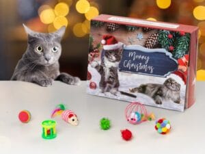 Adventskalender med Kattleksaker