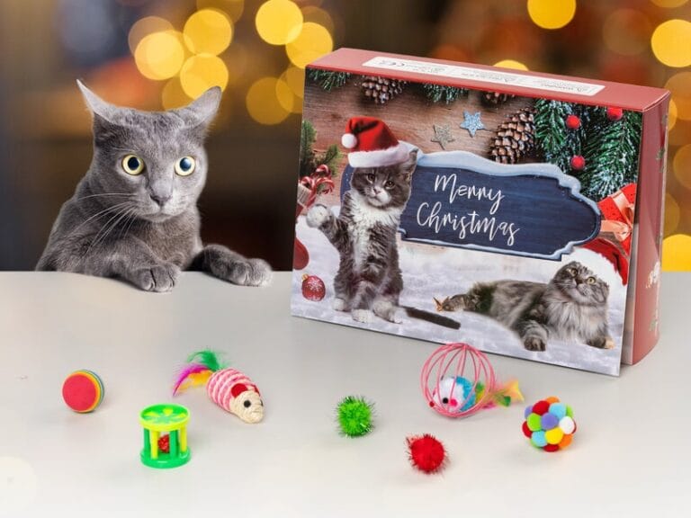 Adventskalender med Kattleksaker