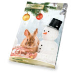 JR Farm Grainless Julkalender för gnagare - 1 st (360 g)