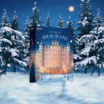 Satisfyer Advent Calendar Deluxe 2025