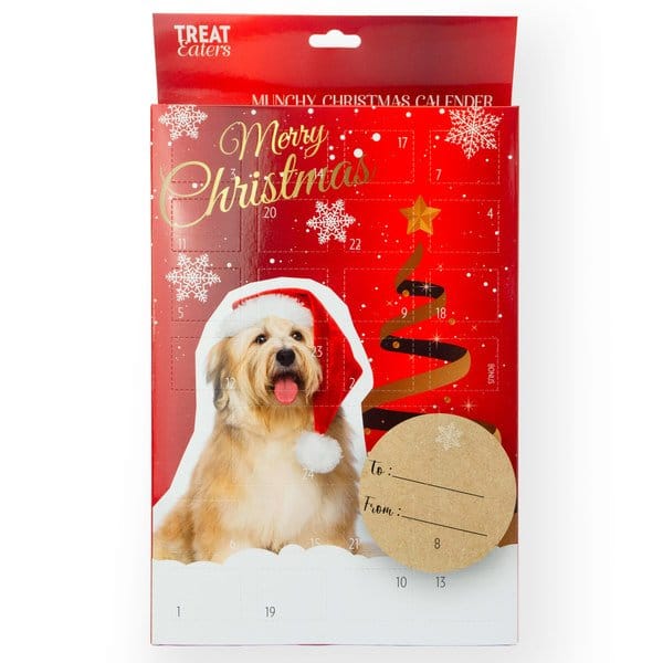 Treateaters Adventskalender Basic Hund 2023